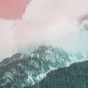 Organic Music Tapes, Vol. 4