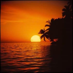 The Bossa Nova Album