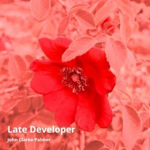 Late Developer