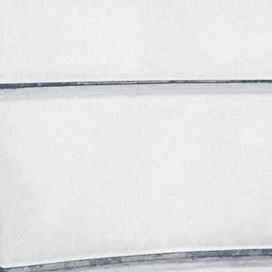 For Those Who Hear Actual Voices (20th Anniversary Edition)