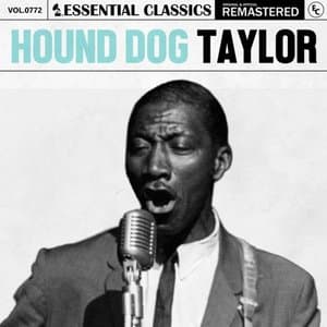 Essential Classics, Vol. 772: Hound Dog Taylor
