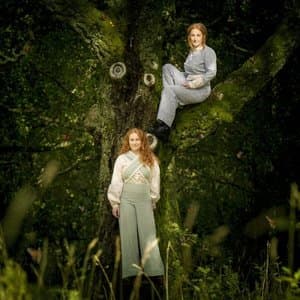 Twin Flames Part I: The Evergreen