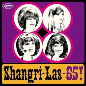 Shangri - Las-65!