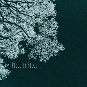 Piece by Piece