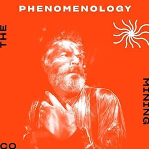 Phenomenonology