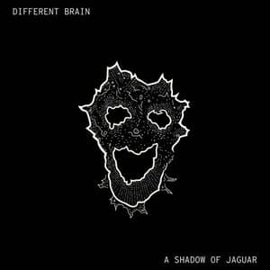 Different Brain