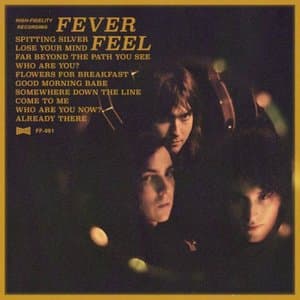 Fever Feel