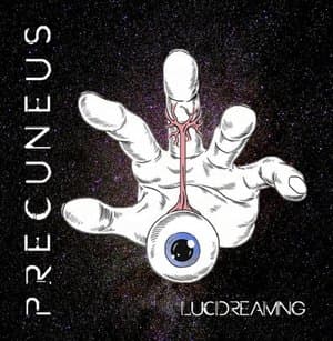 Precuneus