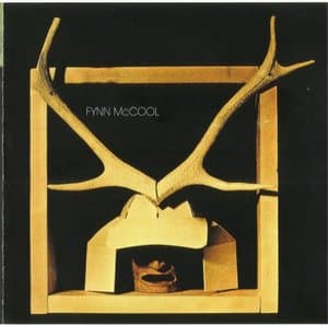 Fynn McCool