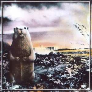 Брёл, Брёл, Брёл