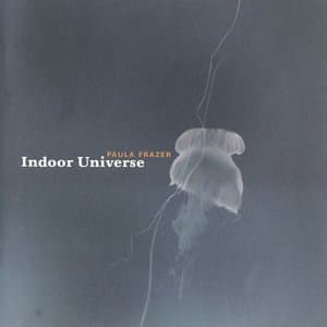 Indoor Universe