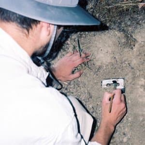 Love-Fidelity Or Hiss Goodbye