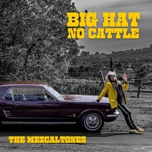Big Hat No Cattle