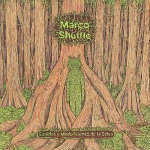 Sonidos y modulaciones de la selva