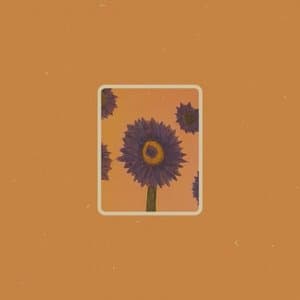 O Meu Azul, Seus Girassois