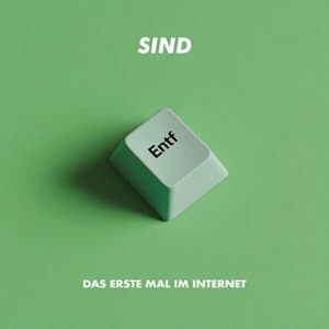 Das erste Mal im Internet