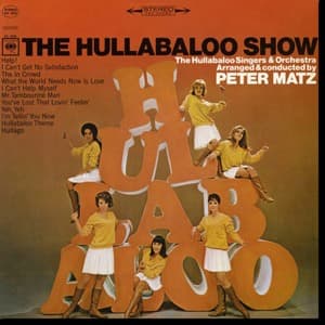 The Hullabaloo Show