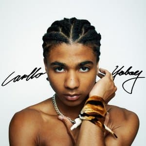 Carllos Public Diary