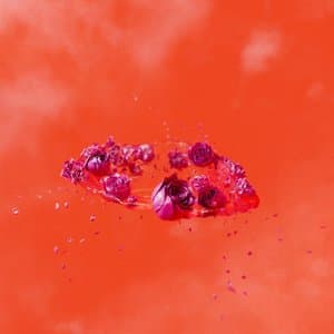 The Living Worlds Demands