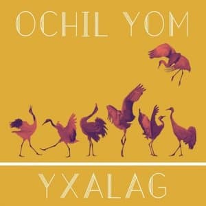 Ochil Yom