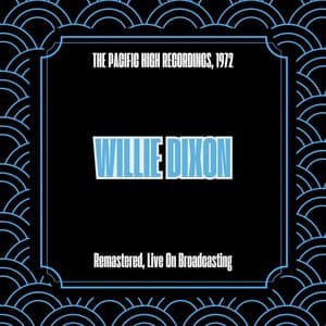 At Chicago Blues Festival, 1980 (Remastered, Live On Broadcasting)