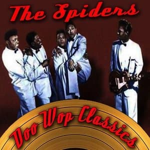 Doo Wop Classics