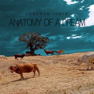Anatomy of a Dream