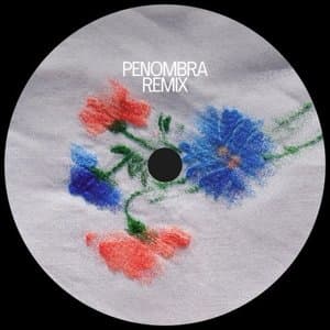 Penombra Remix