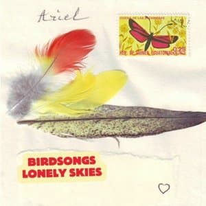Birdsongs Lonely Skies