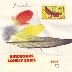 Birdsongs Lonely Skies, Vol. 2