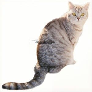 What I Am and What Im Not