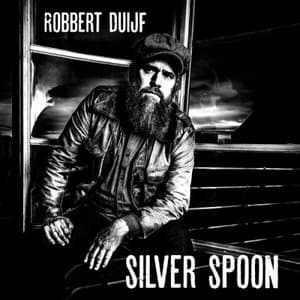 Silver Spoon