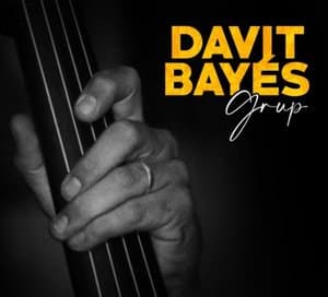 Davit Bayes Grup