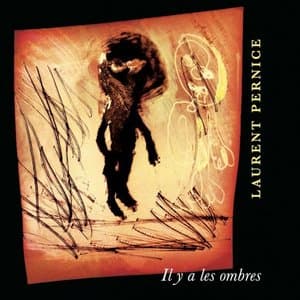 Il y a les ombres (Album)