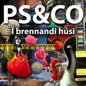 I brennandi husi