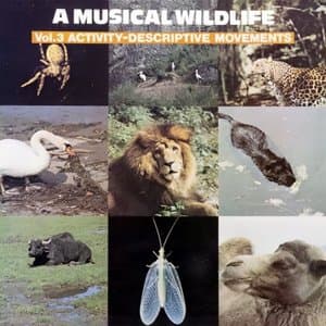 A Musical Wildlife, Vol. 3: Activity-Descriptive Movements