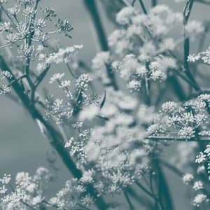 Journey to the Cave of Guanyin