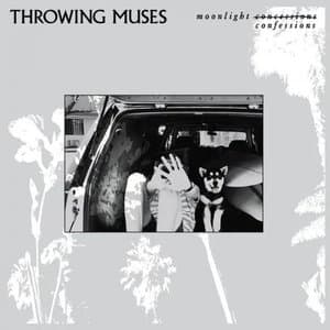 Moonlight Confessions