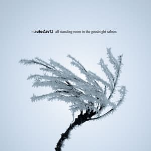 All Standing Room In The Goodnight Saloon