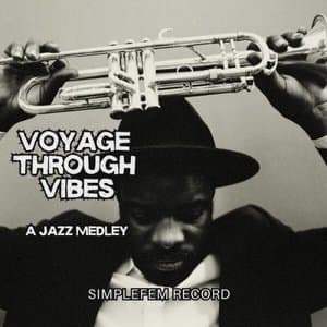 Voyage Through Vibes