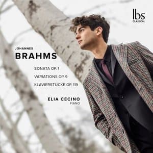 Brahms: Piano Works