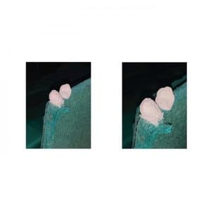 A Very Busy Social Life