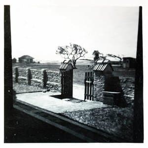 ... And Then We Became Ashes