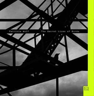 The Secret Lives Of Birds