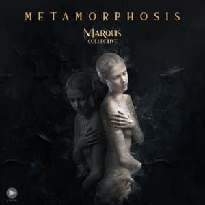 Metamorphosis
