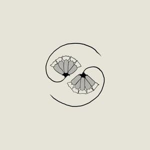 G Ds Pee At States End