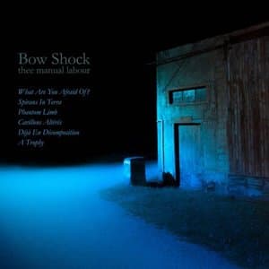 Bow Shock