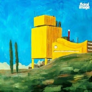 Gone Down Meadowland