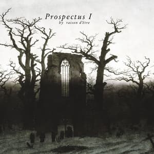 Prospectus I