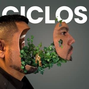 Ciclos